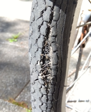 ママチャリ後輪タイヤの亀裂